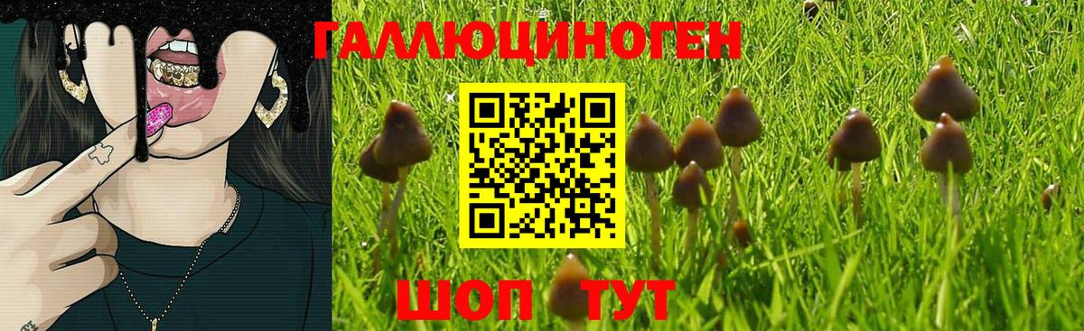 закладка  Вход с VPN  Рыбинск  Псилоцибиновые грибы Psilocybine cubensis 